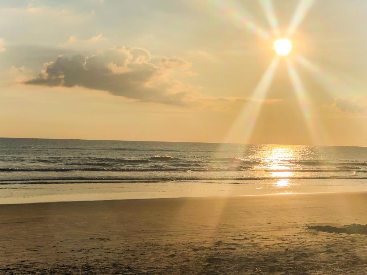 Sand Dollar Condominiums Daytona Beach Shores Exterior foto