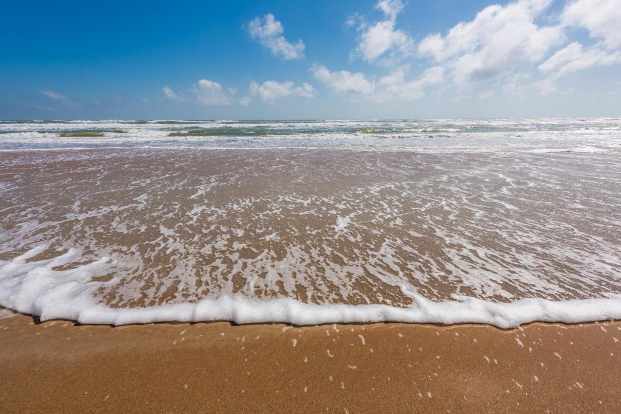 Sand Dollar Condominiums Daytona Beach Shores Exterior foto